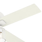 Hunter 44  Pelston Ceiling Fan with LED Light and Pull Chain
