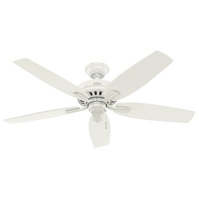 Hunter 52  Newsome Outdoor Ceiling Fan with Pull Chain, Damp Rated