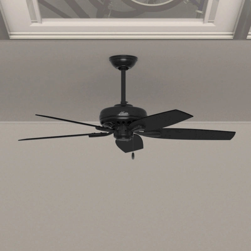 Hunter 52  Newsome Outdoor Ceiling Fan with Pull Chain, Damp Rated