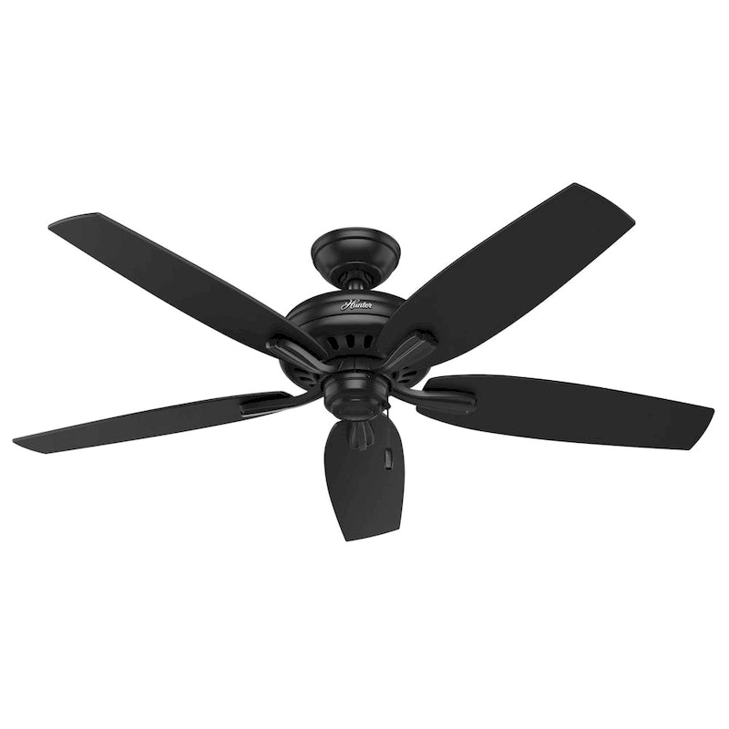 Hunter 52  Newsome Outdoor Ceiling Fan with Pull Chain, Damp Rated