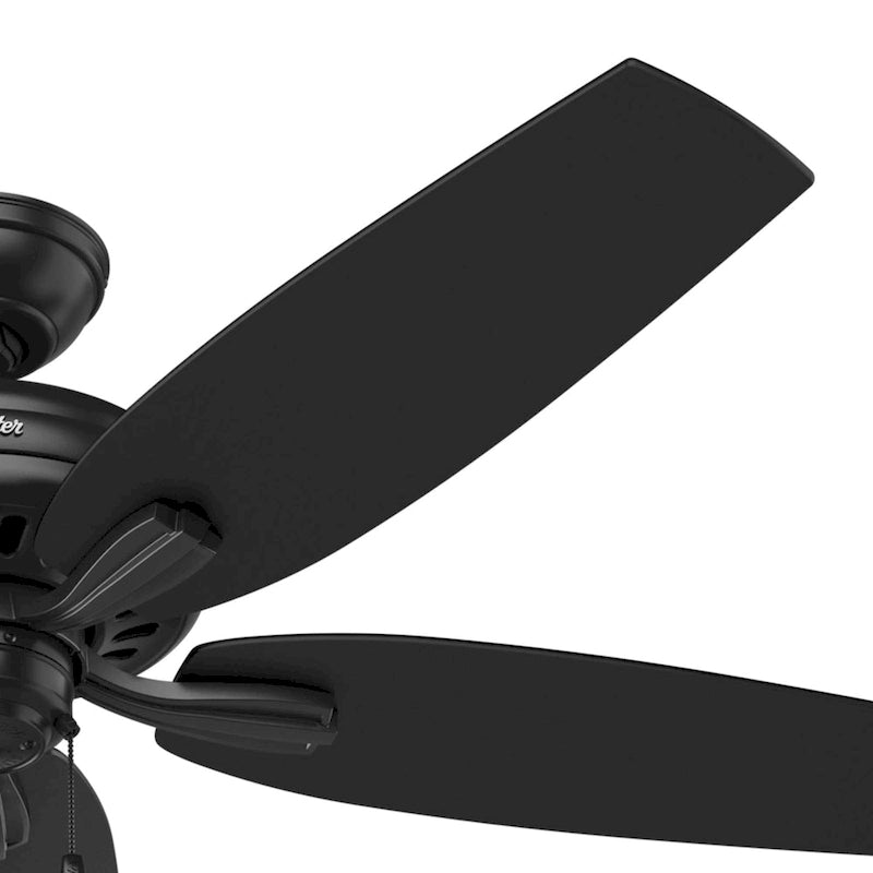 Hunter 52  Newsome Outdoor Ceiling Fan with Pull Chain, Damp Rated