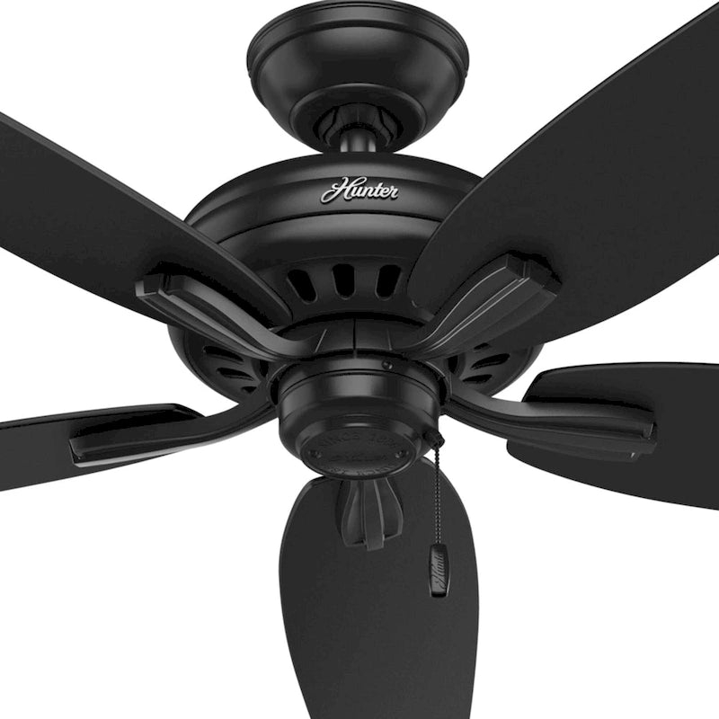 Hunter 52  Newsome Outdoor Ceiling Fan with Pull Chain, Damp Rated