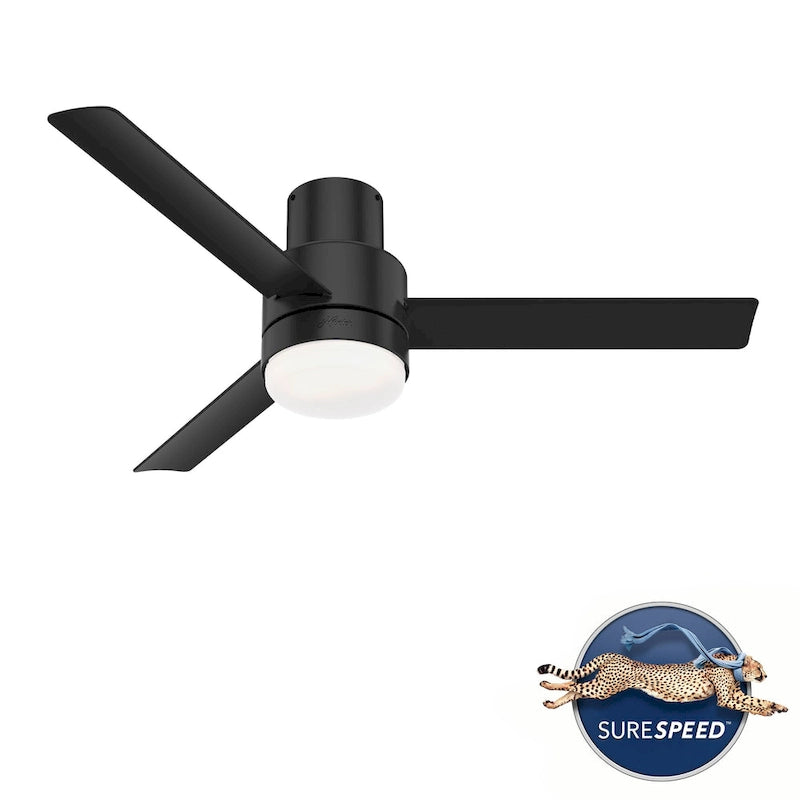 Hunter 52  Gilmour Outdoor Low Profile Ceiling Fan with LED Light, Handheld Remote, Damp Rated - Contemporary, Transitional