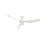 Hunter 52  Cabo Frio Outdoor Ceiling Fan with Wall Control - Modern Industrial - Damp Rated!