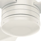 Hunter 52  Cabo Frio Outdoor Ceiling Fan with Wall Control - Modern Industrial - Damp Rated!