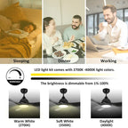 CARRO Karlstad 52  3-Blade Indoor Smart Ceiling Fan with LED Light and Remote Control