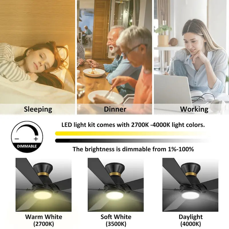 CARRO Joule 52  5-Blade Black Smart Ceiling Fan with Light and Remote