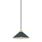 Hudson Valley Lighting MDS1401 Clivedon 12  Wide Pendant