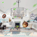 20.4  Dual Shade Modern Ceiling Fan