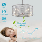 20.4  Dual Shade Modern Ceiling Fan