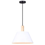 Harlyn 1 Light Pendant