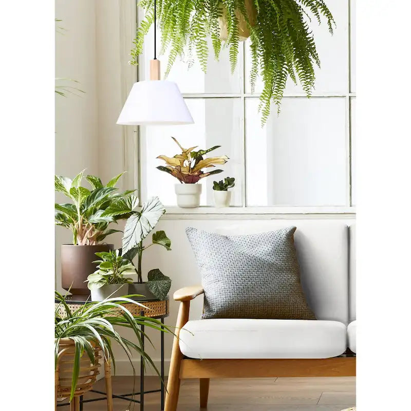 Harlyn 1 Light Pendant