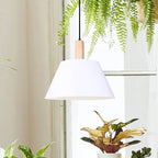 Harlyn 1 Light Pendant