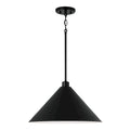 Alden 1-Light Pendant - 18 W x 10.25 H