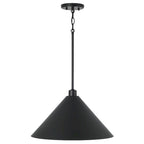 Alden 1-Light Pendant - 18 W x 10.25 H
