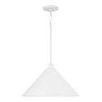 Alden 1-Light Pendant - 18 W x 10.25 H