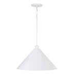 Alden 1-Light Pendant - 18 W x 10.25 H