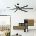 Pendry 72 inch Indoor/Outdoor Ceiling Fan - Black with Brushed Nickel Accent
