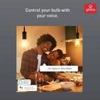 Wi-Fi Smart Vintage Filament Tunable Amber Glass LED Bulb ST19 E26 - Clear