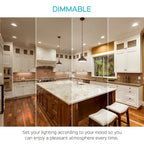 Luxrite BR40 LED Light Bulbs,14W= 85W Dimmable, 1100 Lumen, LED Flood Light Bulb, 14W, E26 Medium Base (10 Pack)