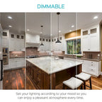 Luxrite BR40 LED Light Bulbs,14W= 85W Dimmable, 1100 Lumen, LED Flood Light Bulb, 14W, E26 Medium Base (10 Pack)