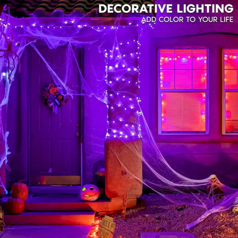 Luxrite A19 Halloween LED Purple and Orange Light Bulbs 4.5W=60W UL E26 Indoor Outdoor Holiday Lighting