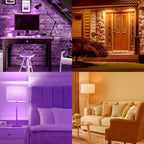 Luxrite A19 Halloween LED Purple and Orange Light Bulbs 4.5W=60W UL E26 Indoor Outdoor Holiday Lighting