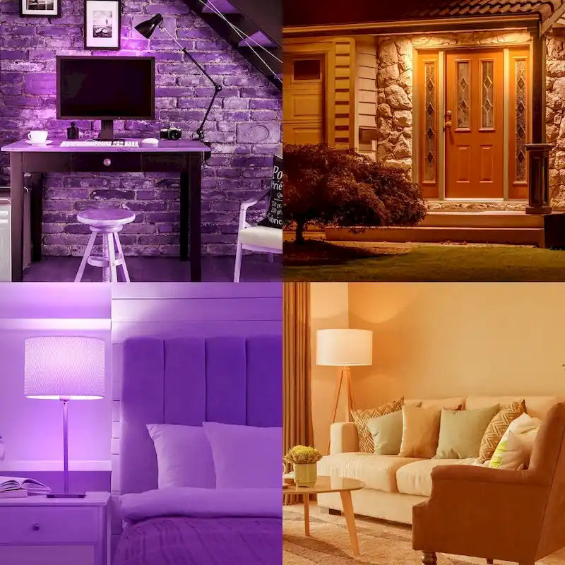 Luxrite A19 Halloween LED Purple and Orange Light Bulbs 4.5W=60W UL E26 Indoor Outdoor Holiday Lighting