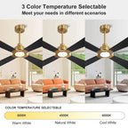 MLiAN 56  4 Blades Indoor LED Ceiling Fan with Remite Control - 56 inch