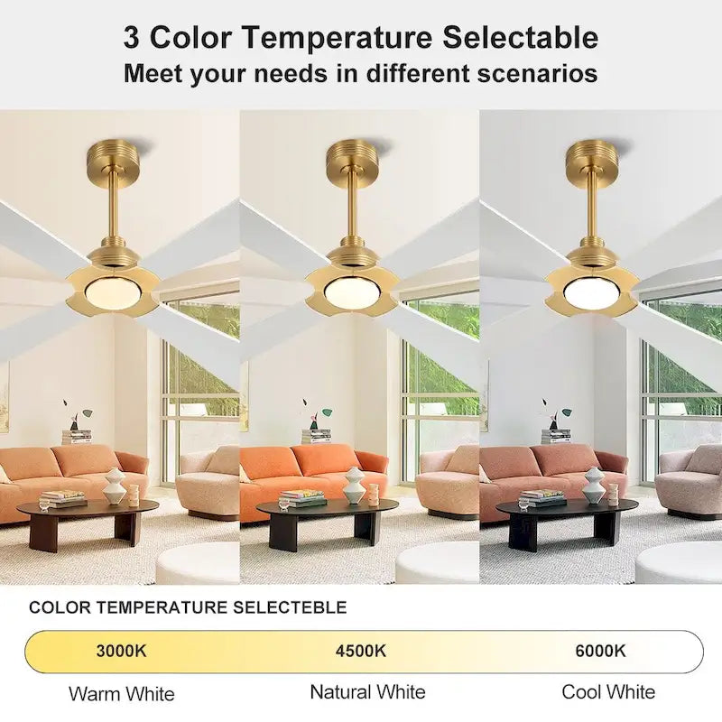 MLiAN 56  4 Blades Indoor LED Ceiling Fan with Remite Control - 56 inch