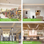 Luxuries 4FT LED T8 Ballast Bypass Type B Light Tube, 18W, Single-Ended & Dual-Ended Connection, 2300lm, 6500K (12pcs) - 12pcs